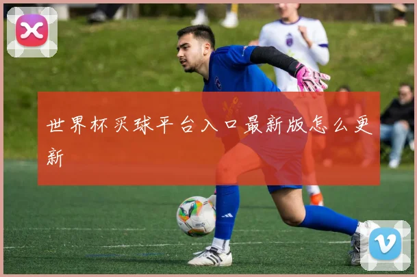 世界杯买球平台入口最新版怎么更新