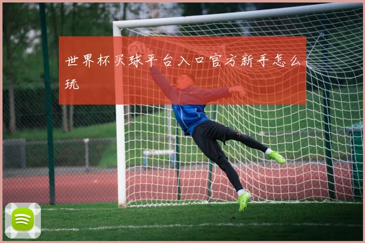 世界杯买球平台入口官方新手怎么玩