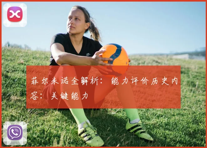 菲尔米诺全解析:能力评价历史内容:关键能力