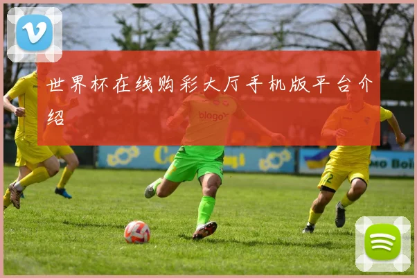 世界杯在线购彩大厅手机版平台介绍