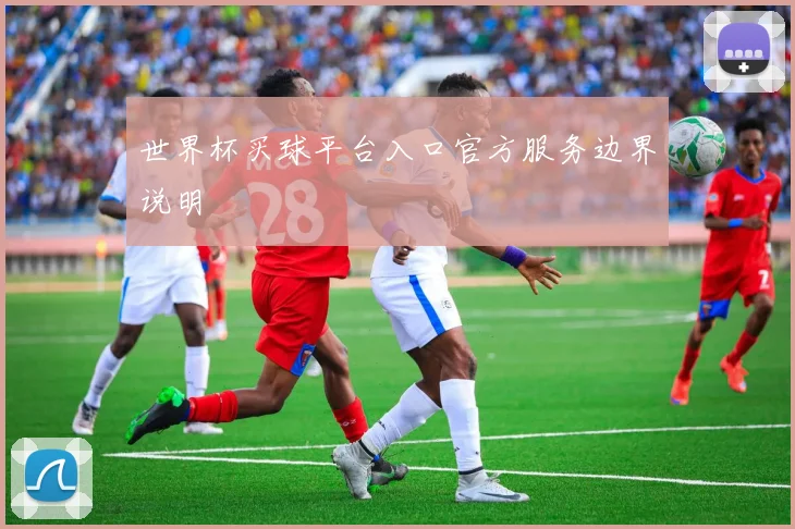 世界杯买球平台入口官方服务边界说明