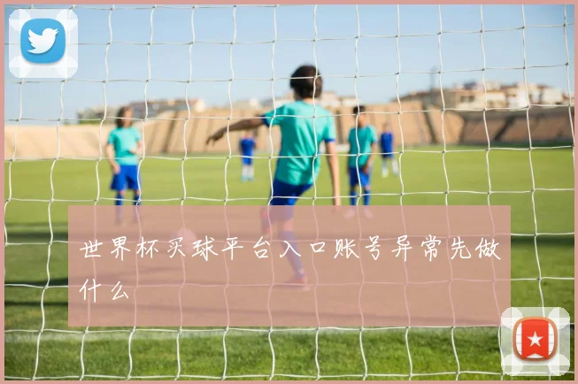 世界杯买球平台入口账号异常先做什么